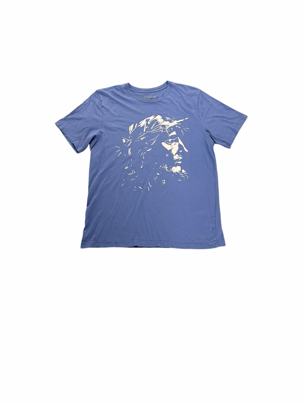 Brandon Lake Jesus T-Shirt 🙏🏾